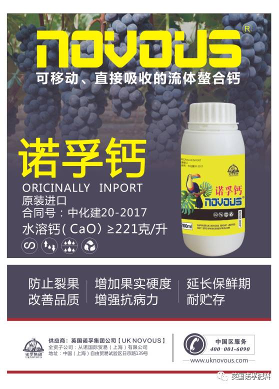 諾孚鈣--可移動(dòng) 流體螯合鈣
